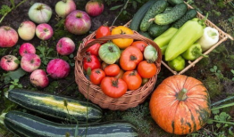 5今日吃瓜入口,热点事件深度解析