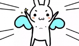 带你吃瓜拍照今日说法,带你揭秘“吃瓜拍照”背后的法律故事