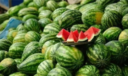 今日份吃瓜现场图片,揭秘吃瓜现场幕后真相