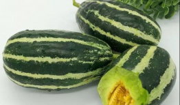 51网爆吃瓜黑料大瓜今日入口,今日入口，揭秘娱乐圈风云