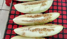 今日带你吃瓜,今日带你领略娱乐圈新鲜“瓜”事